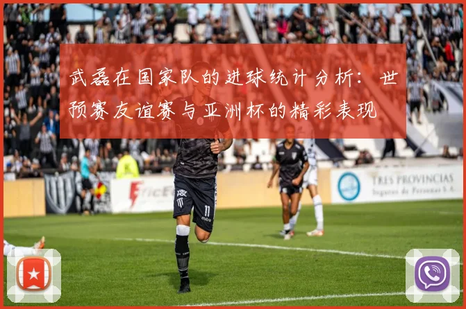 武磊在国家队的进球统计分析：世预赛友谊赛与亚洲杯的精彩表现