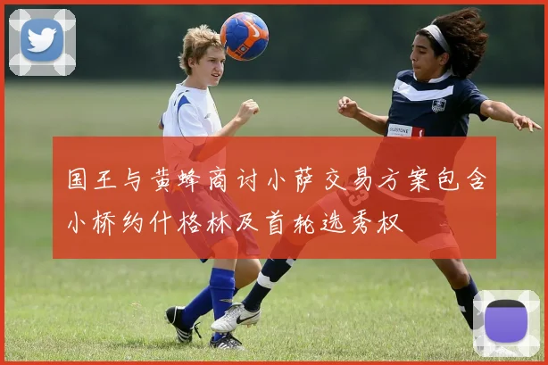 国王与黄蜂商讨小萨交易方案包含小桥约什格林及首轮选秀权