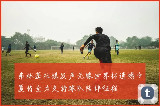 弗林蓬社媒发声无缘世界杯遗憾今夏将全力支持球队陪伴征程